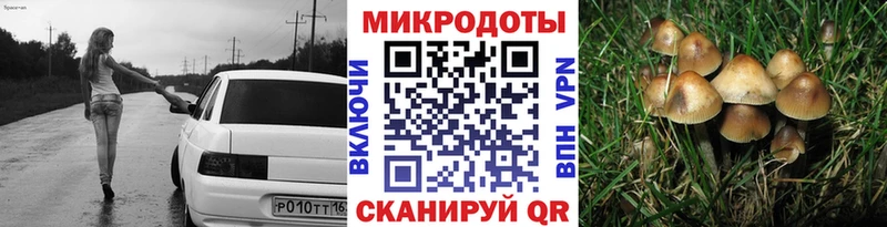 где продают наркотики  Могоча  Галлюциногенные грибы MAGIC MUSHROOMS 